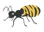 My project.png